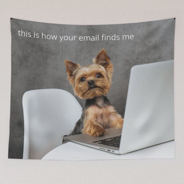 Item preview, this is how your email finds me designed and sold by bubblegumhearts.