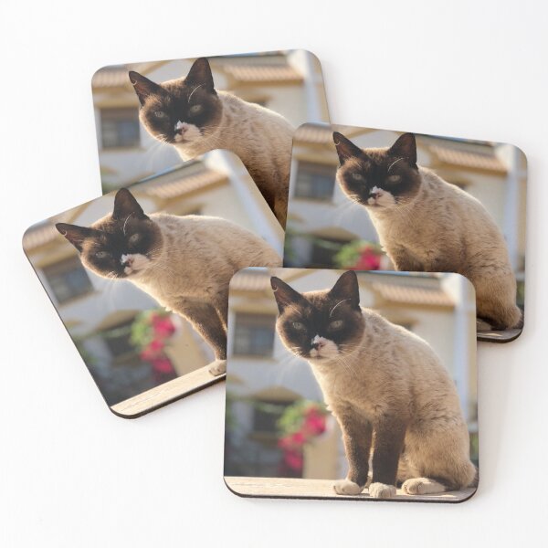 Item preview, Siamese Cat | Cartagena, Spain designed and sold by GreatDaneDesignsCo.