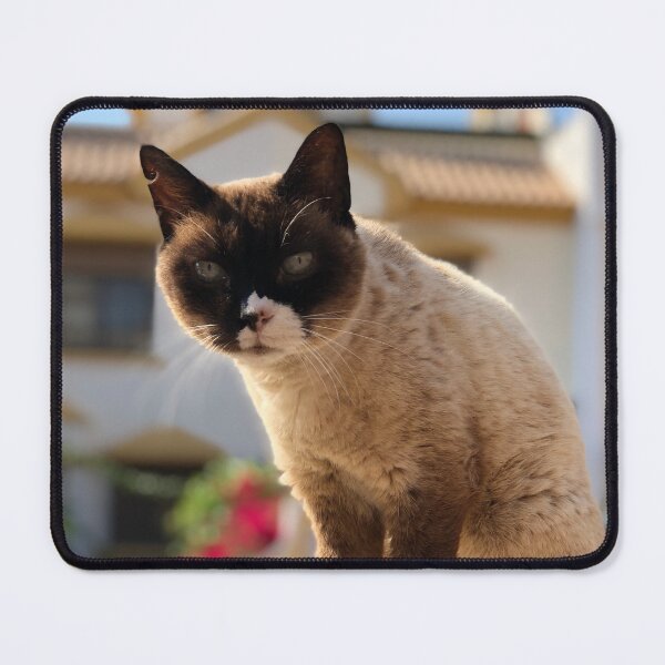 Item preview, Siamese Cat | Cartagena, Spain designed and sold by GreatDaneDesignsCo.