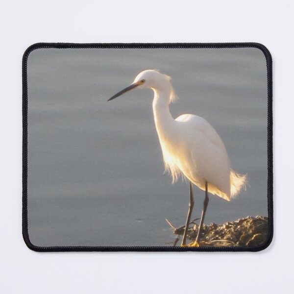 Item preview, Snowy Egret on the Water designed and sold by Rachel B Morton.