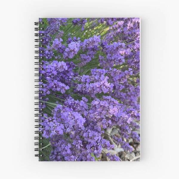 Item preview, Lilacs | Ottawa, Ontario designed and sold by GreatDaneDesignsCo.