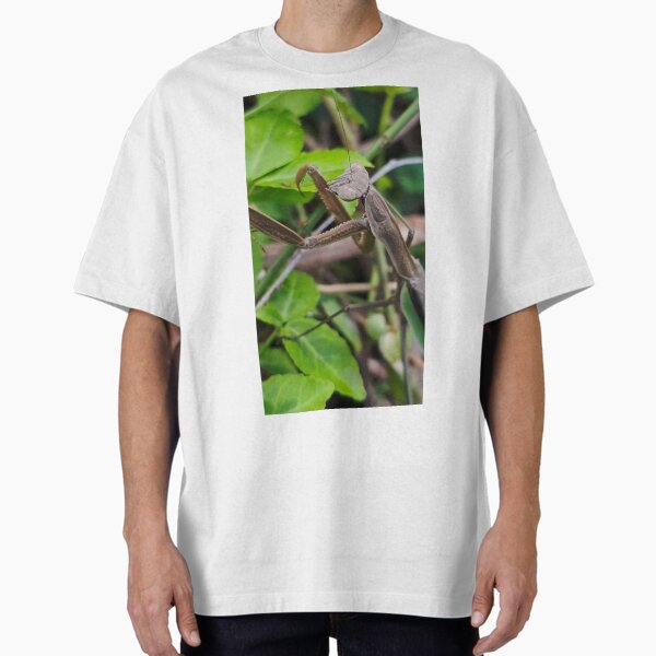 Item preview, Praying Mantis designed and sold by The Blue Shop.