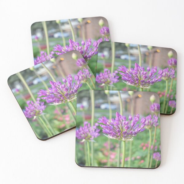 Item preview, Purple Allium Flowers | Ottawa, Ontario designed and sold by GreatDaneDesignsCo.