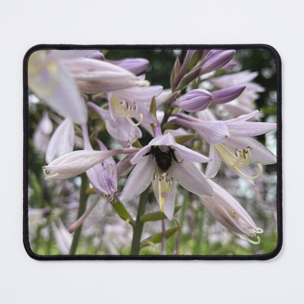 Aperçu de l'œuvre Abeille et fleurs violet clair | Ottawa (Ontario) créée et vendue par GreatDaneDesignsCo.