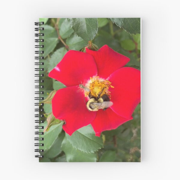 Item preview, Two Very Different Wild Bees on a Red Rose designed and sold by Amanda1775.