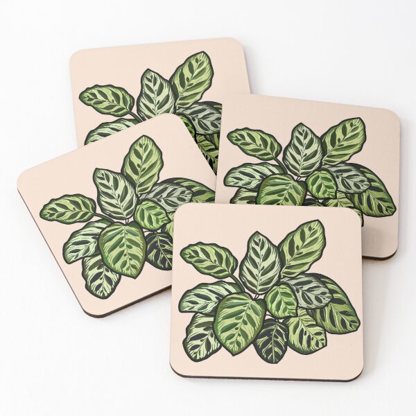 Item preview, Detailed digital illustration of a calathea designed and sold by SaraCaos.