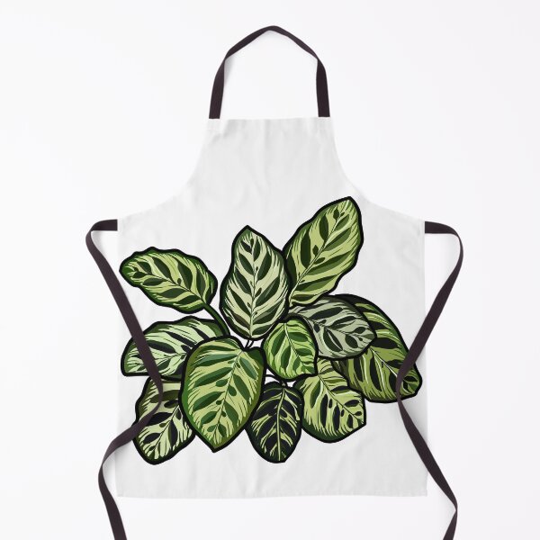 Item preview, Detailed digital illustration of a calathea designed and sold by SaraCaos.