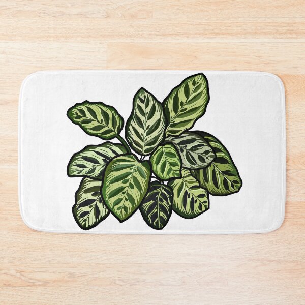 Artikelvorschau, Detaillierte digitale Illustration einer Calathea entworfen und verkauft von SaraCaos.