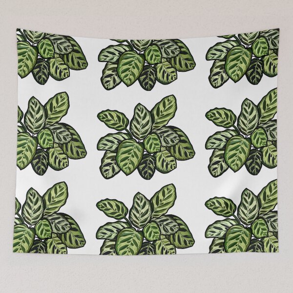 Item preview, Detailed digital illustration of a calathea designed and sold by SaraCaos.
