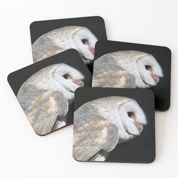 Item preview, Alby the Barn Owl designed and sold by BroomstickMagic by Dani Musicka.