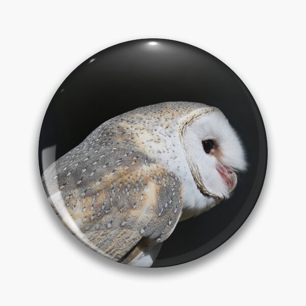 Item preview, Alby the Barn Owl designed and sold by BroomstickMagic by Dani Musicka.