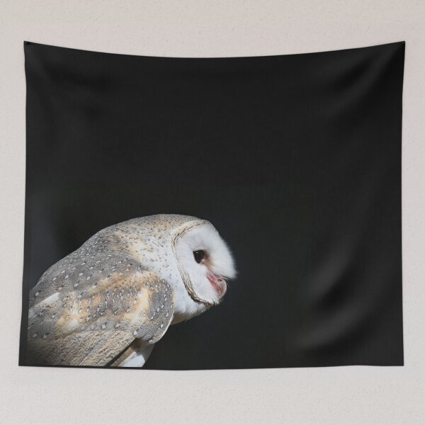 Item preview, Alby the Barn Owl designed and sold by BroomstickMagic by Dani Musicka.