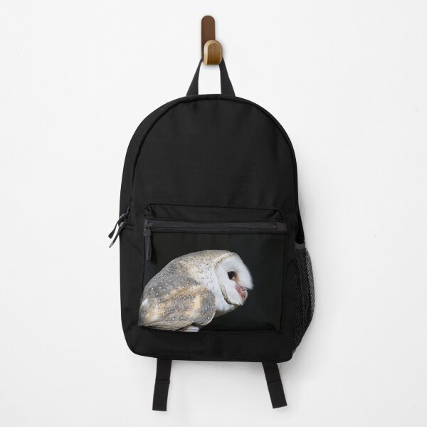 Item preview, Alby the Barn Owl designed and sold by BroomstickMagic by Dani Musicka.