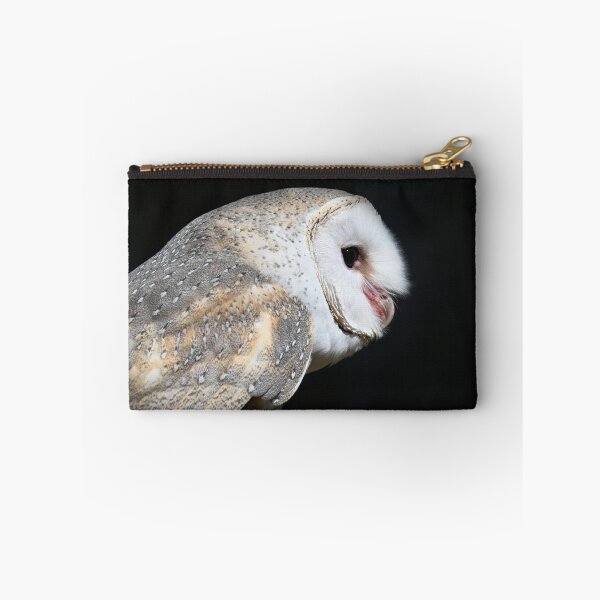 Item preview, Alby the Barn Owl designed and sold by BroomstickMagic by Dani Musicka.