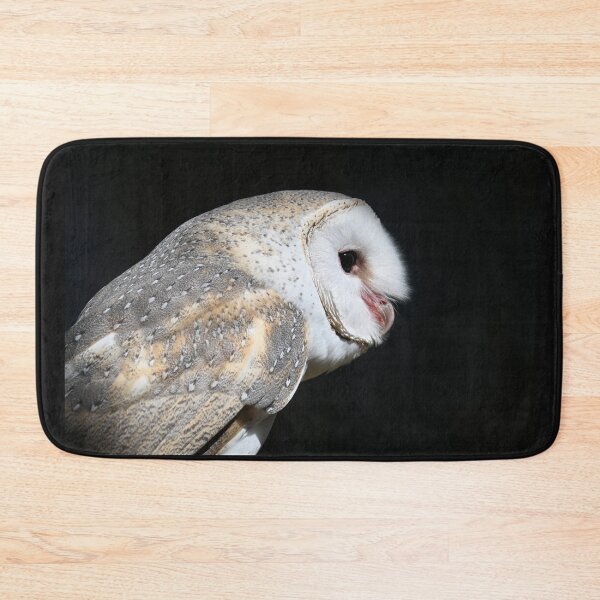 Item preview, Alby the Barn Owl designed and sold by BroomstickMagic by Dani Musicka.