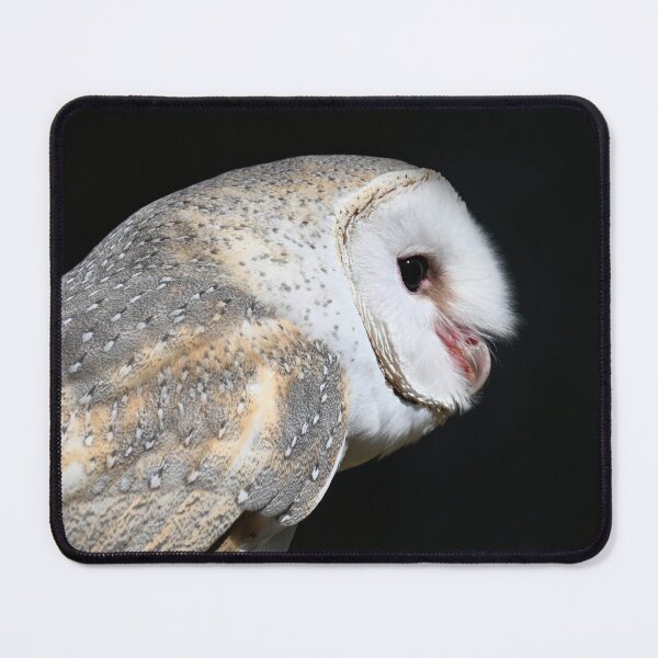 Item preview, Alby the Barn Owl designed and sold by BroomstickMagic by Dani Musicka.
