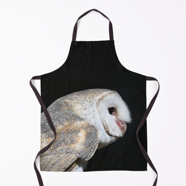 Item preview, Alby the Barn Owl designed and sold by BroomstickMagic by Dani Musicka.