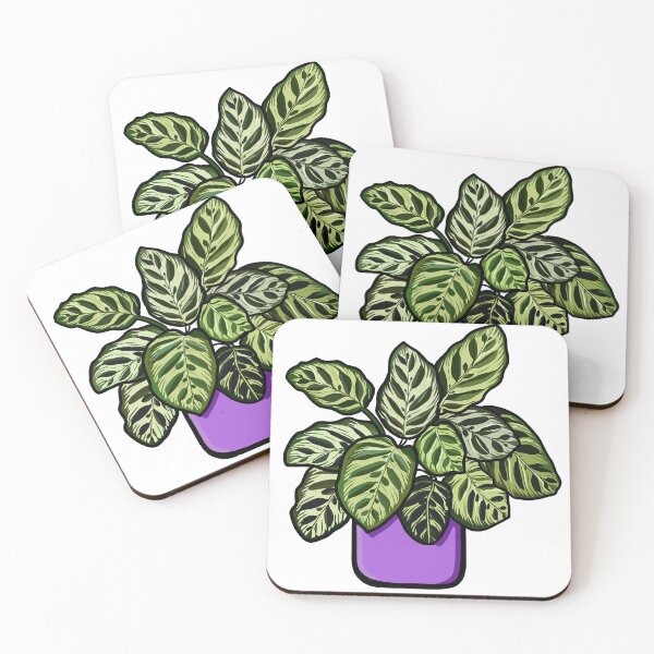 Item preview, Digital illustration of a potted Calathea makoyana designed and sold by SaraCaos.