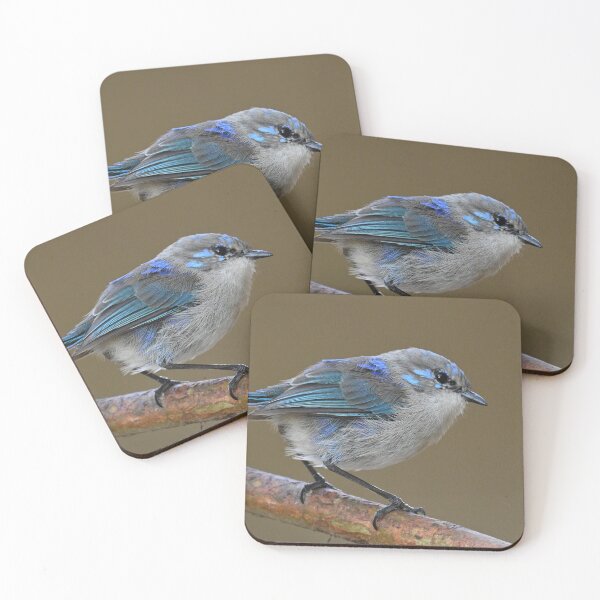 Item preview, Splendid Fairy Wren designed and sold by BroomstickMagic by Dani Musicka.