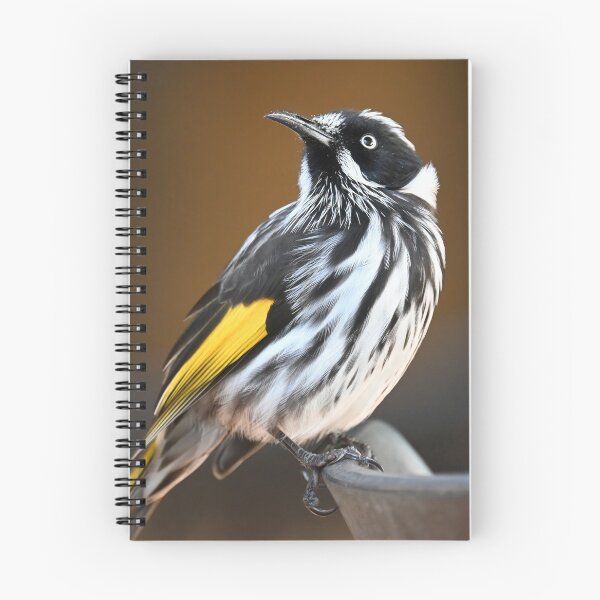 Item preview, New Holland Honeyeater designed and sold by BroomstickMagic by Dani Musicka.