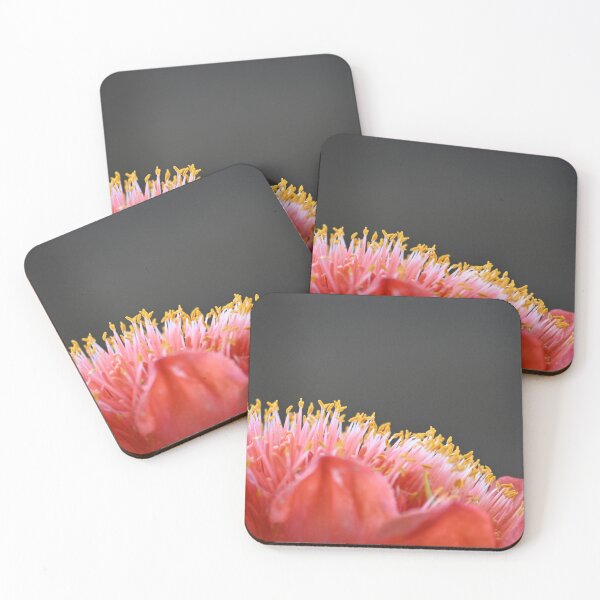 Item preview, Flower Macro designed and sold by BroomstickMagic by Dani Musicka.