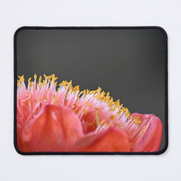 Item preview, Flower Macro designed and sold by BroomstickMagic by Dani Musicka.