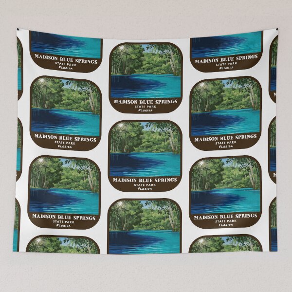 Item preview, Vintage Madison Blue Spring State Park (Florida State Park) designed and sold by RabbitK.