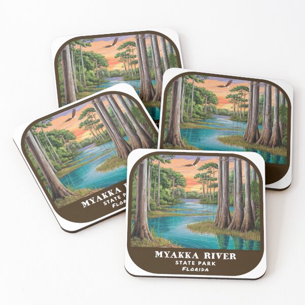 Item preview, Vintage Myakka River State Park (Florida State Park) designed and sold by RabbitK.