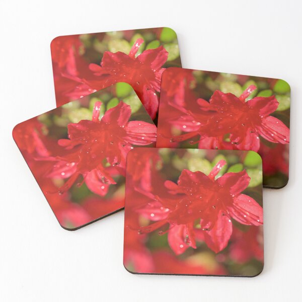 Item preview, Azalea designed and sold by D-GaP.