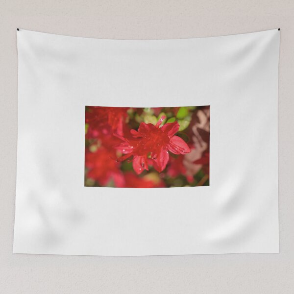 Item preview, Azalea designed and sold by D-GaP.