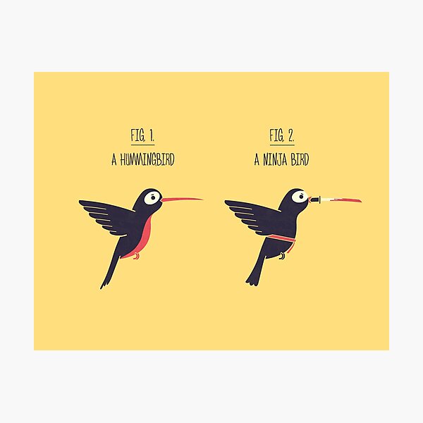Know Your Birds X Photographic Print