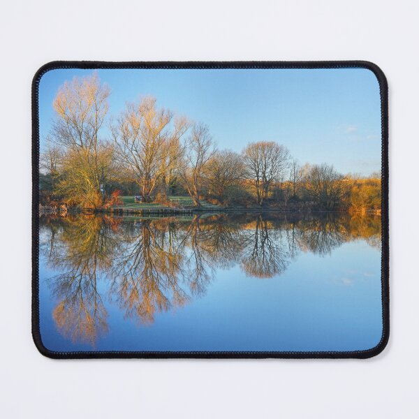 Item preview, Winter Trees of Dearne Valley Park designed and sold by Alisonchambers2.