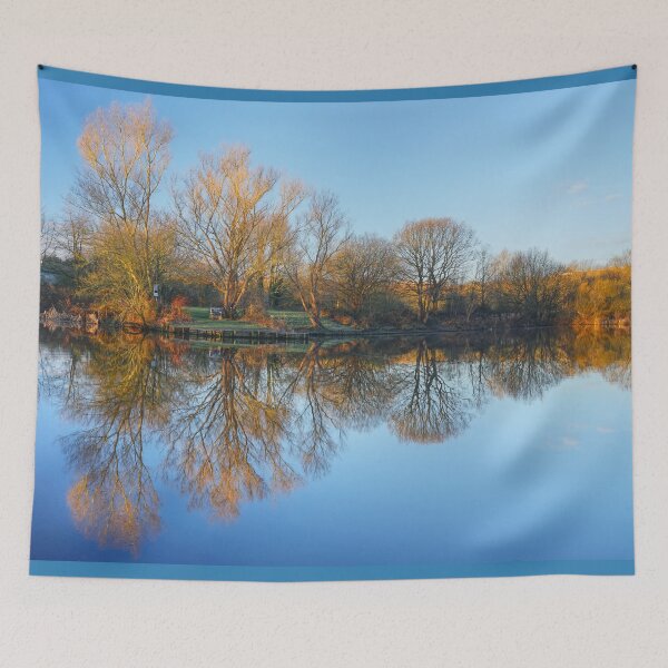 Aperçu de l'œuvre Arbres d'hiver du parc de Dearne Valley créée et vendue par Alisonchambers2.