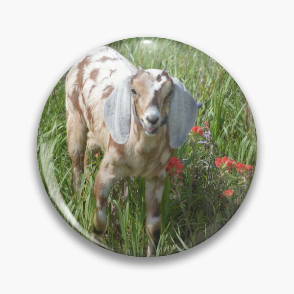 Item preview, Spotted Nubian Goat Alabama designed and sold by RobynPeters1836.