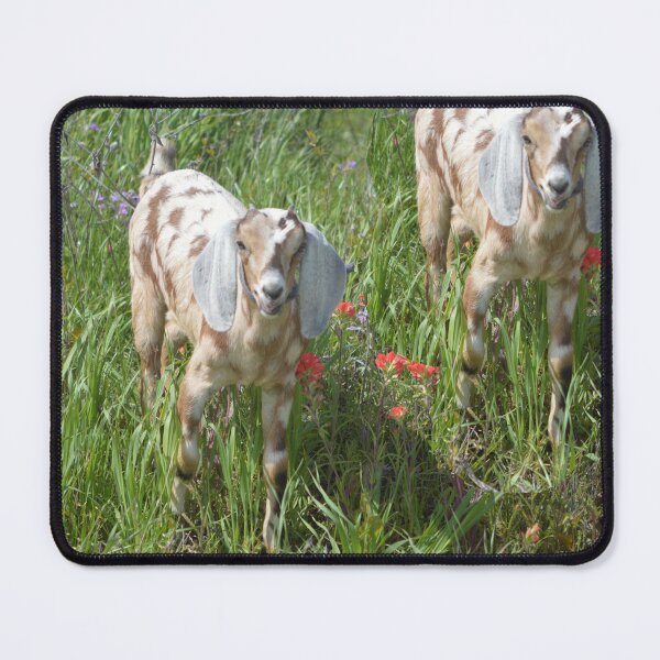 Item preview, Spotted Nubian Goat Alabama designed and sold by RobynPeters1836.