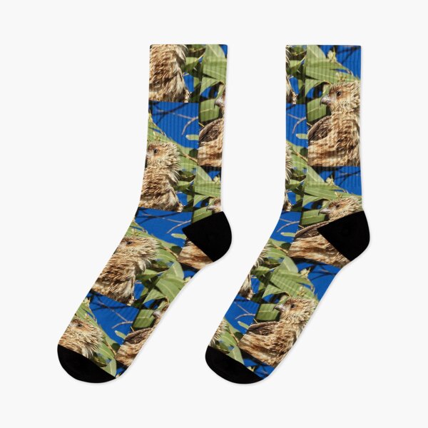 Item preview, Whistling Kite at Kingfisher bay K'gari side on designed and sold by Mark Grimsley.