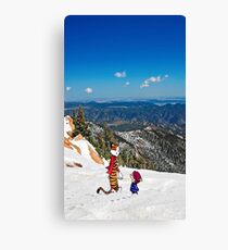 mountain view Canvas Print