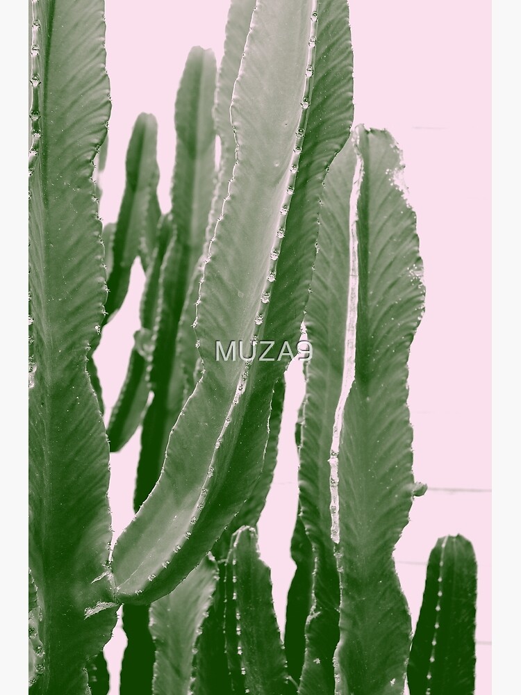 Cactus In The Pink Sky Greeting Card By Muza9 Redbubble