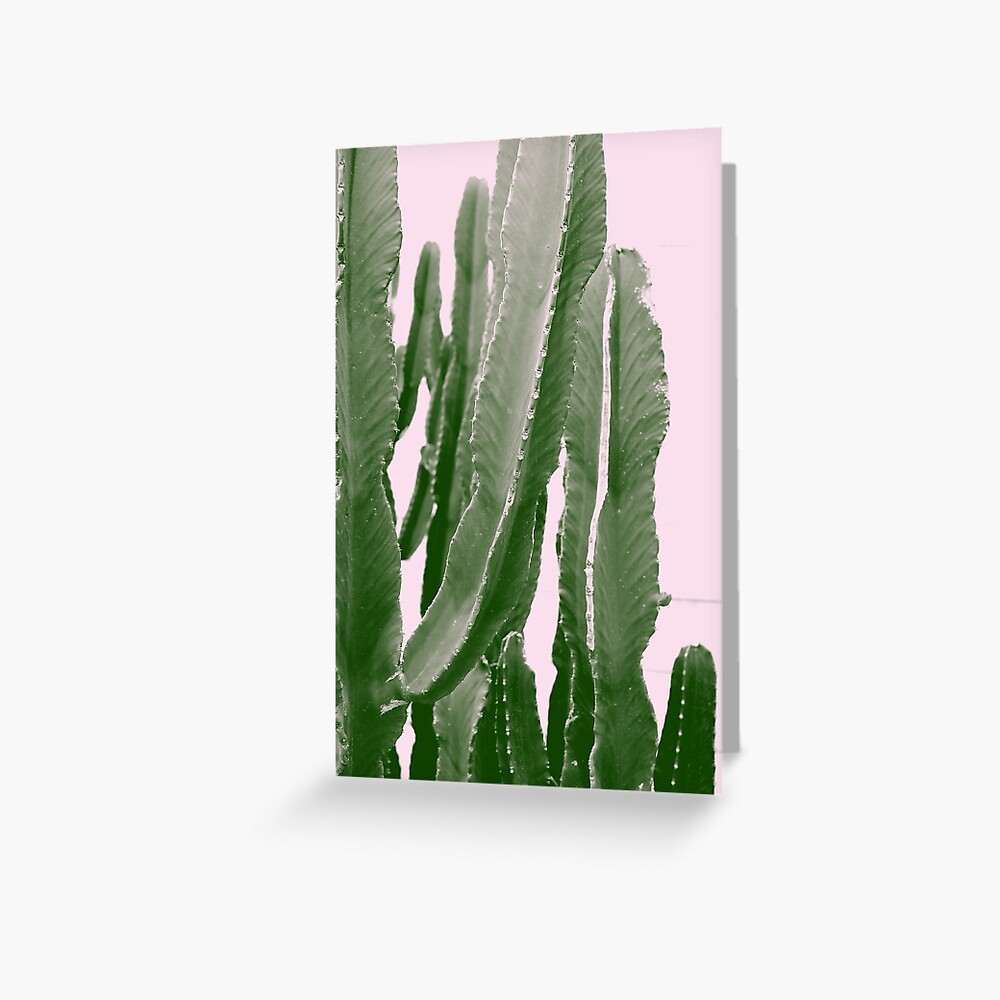 Cactus In The Pink Sky Greeting Card By Muza9 Redbubble