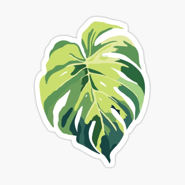 Item preview, Feuille de Monstera – Tropical Leaf Art – Illustration botanique moderne designed and sold by MH-Studio.