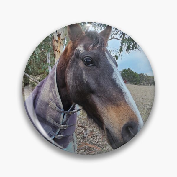 Item preview, A friendly Horse designed and sold by Travel Photo Time.