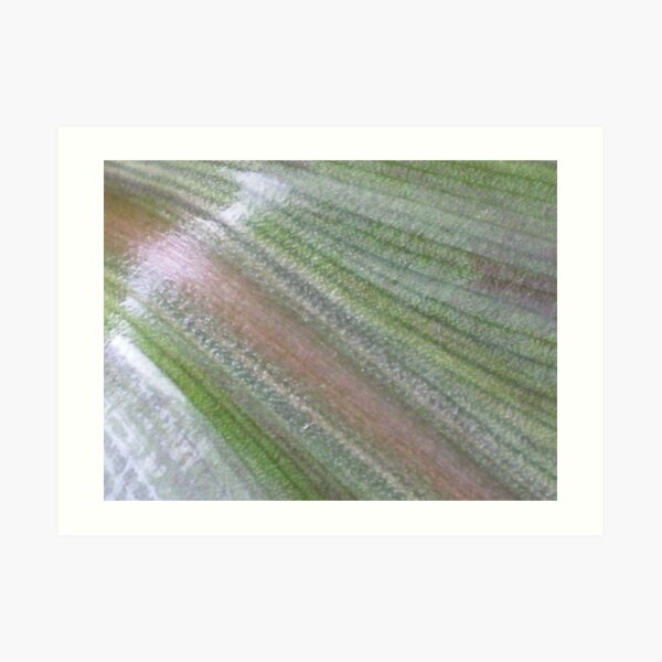 Untitled Art Print