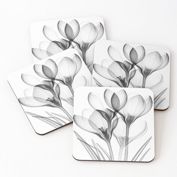 Item preview, X-ray style crocus flowers 4 crocuses designed and sold by LiskoDesign.