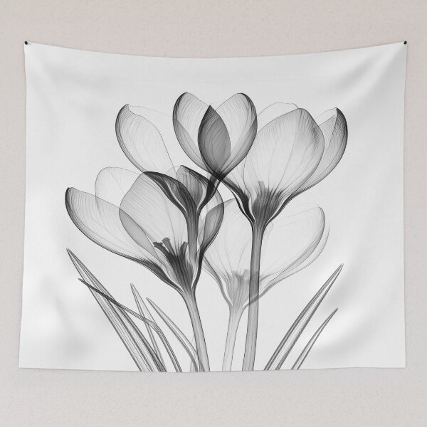 Item preview, X-ray style crocus flowers 4 crocuses designed and sold by LiskoDesign.