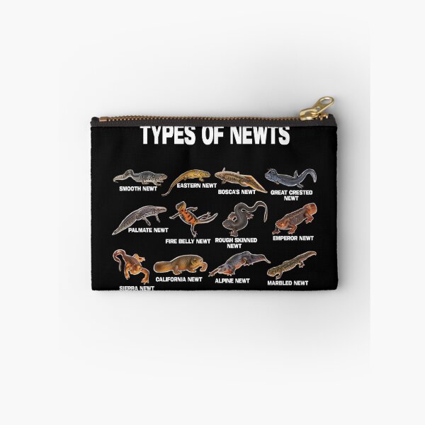 Item preview, Types of Newts Newts Of The World  designed and sold by jaggyboy.