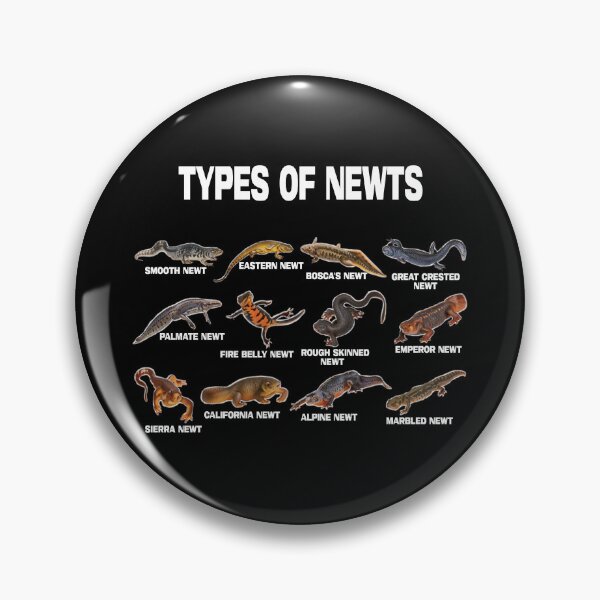Item preview, Types of Newts Newts Of The World  designed and sold by jaggyboy.