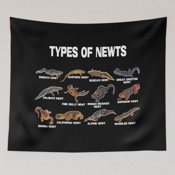 Item preview, Types of Newts Newts Of The World  designed and sold by jaggyboy.