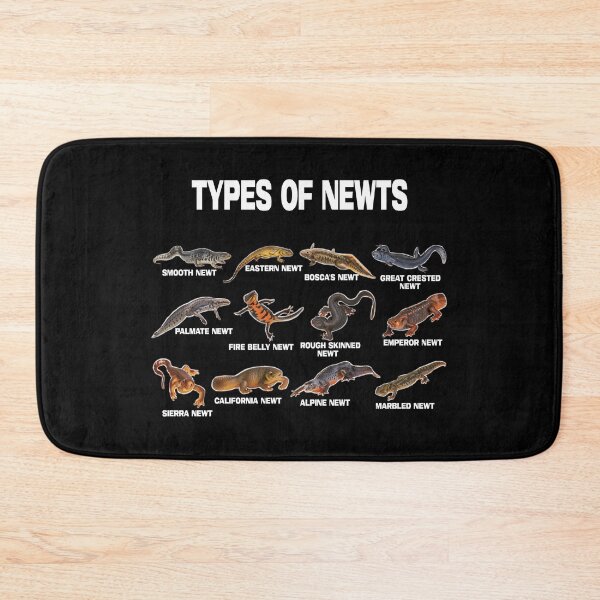 Item preview, Types of Newts Newts Of The World  designed and sold by jaggyboy.