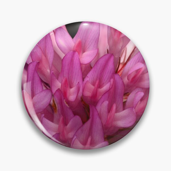 Item preview, Macro of Pink Clover Flower Bloom Trifolium Summer designed and sold by Goiko7Margarita.