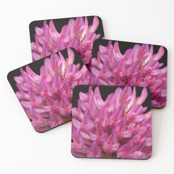 Item preview, Macro of Pink Clover Flower Bloom Trifolium Summer designed and sold by Goiko7Margarita.